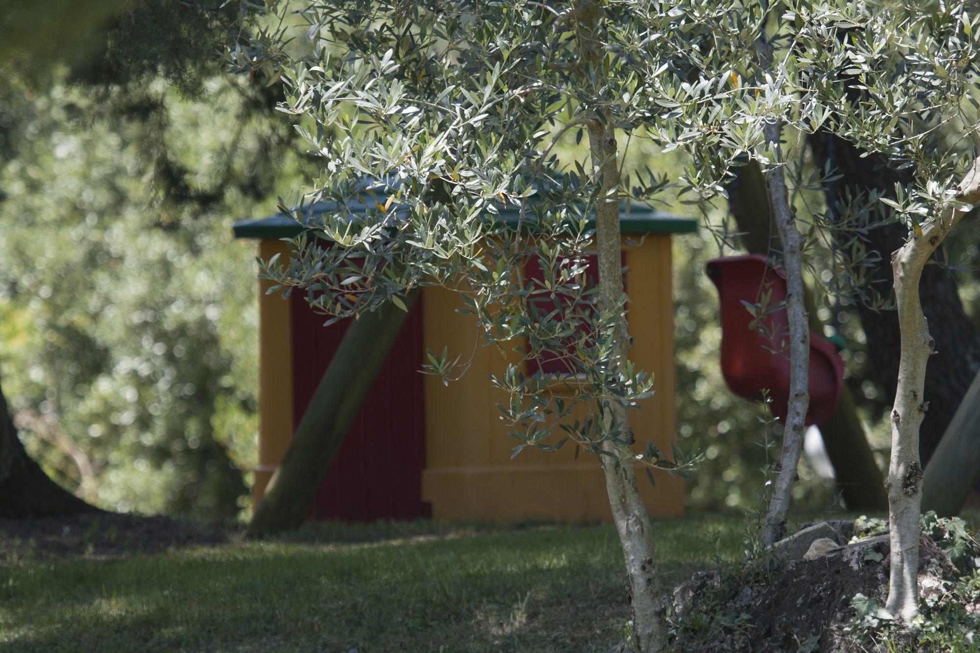 Tenuta Aronne * Massa Marittima