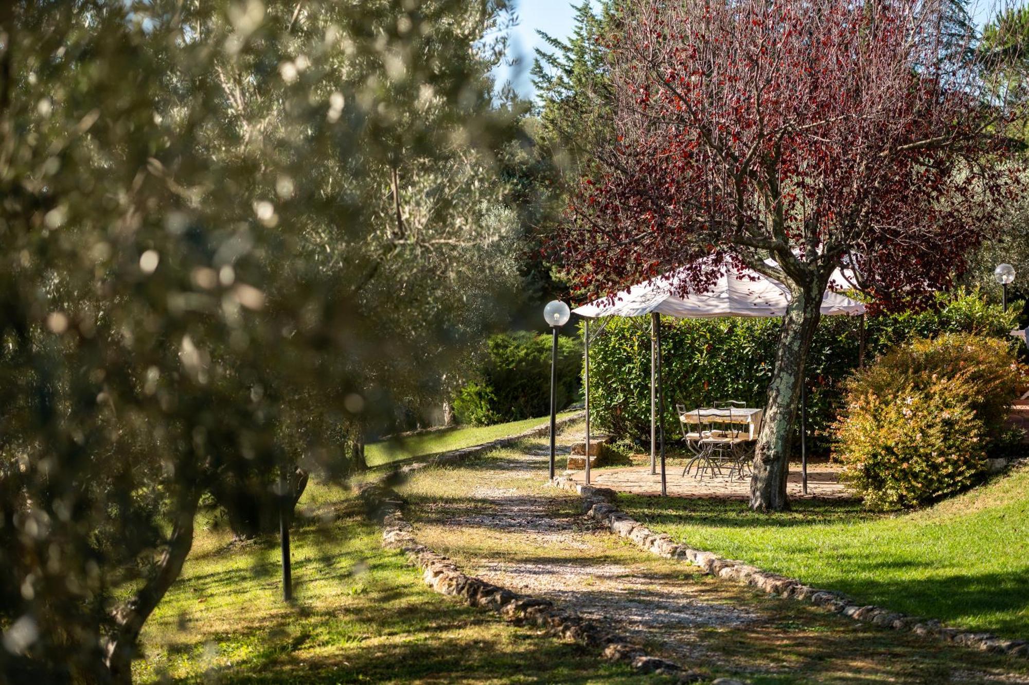 Tenuta Aronne Agroturismo Massa Marittima