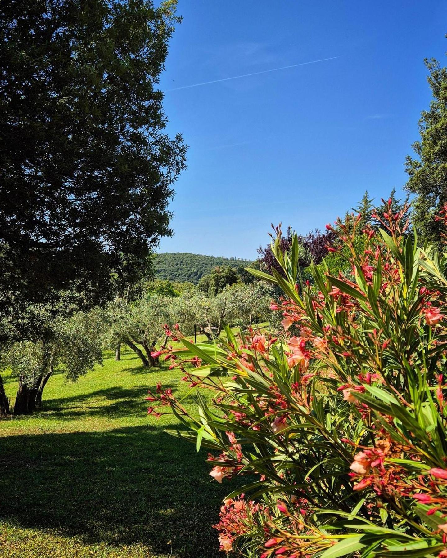 Agroturismo Tenuta Aronne *