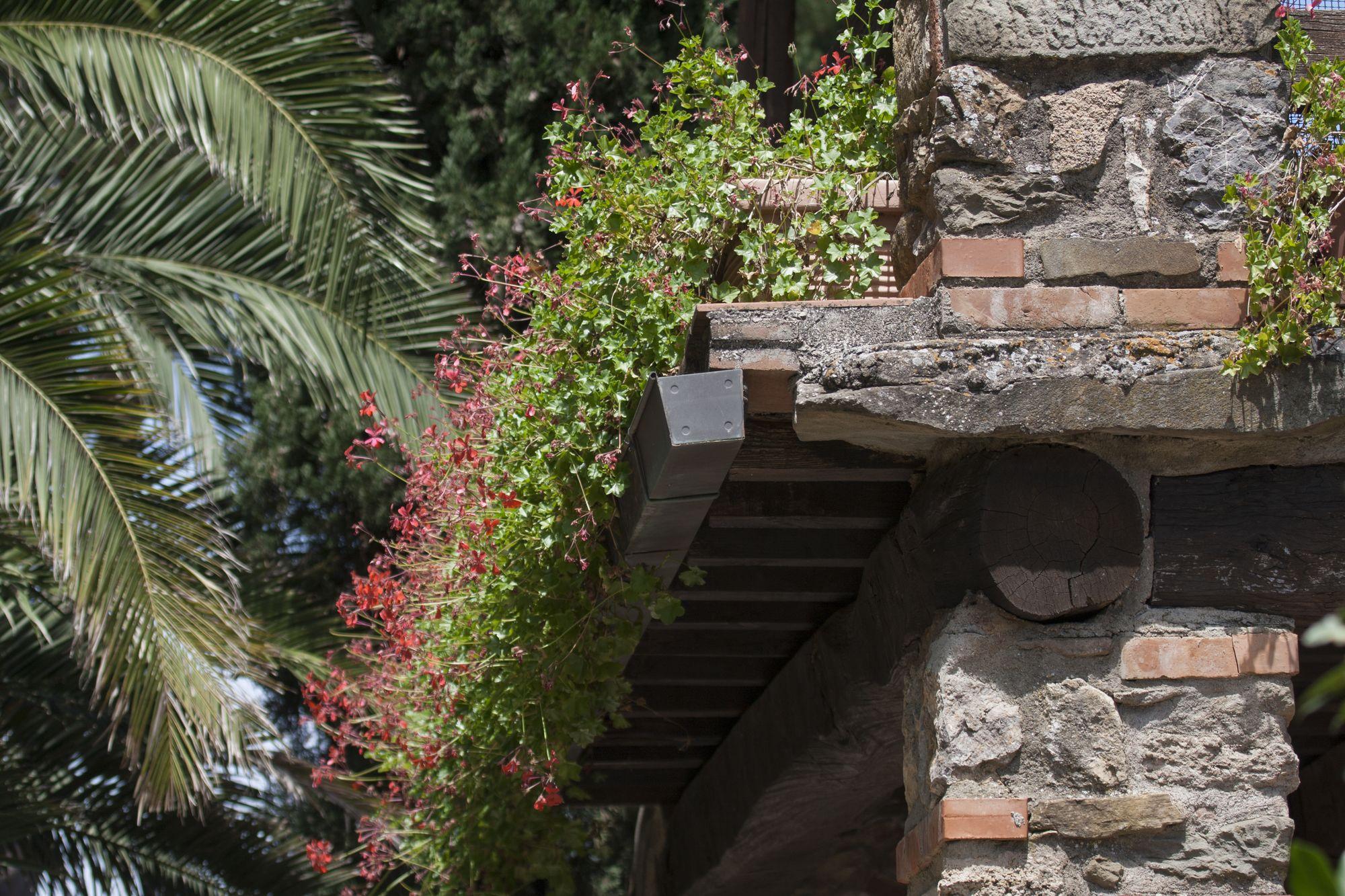 Farm stay Tenuta Aronne Massa Marittima