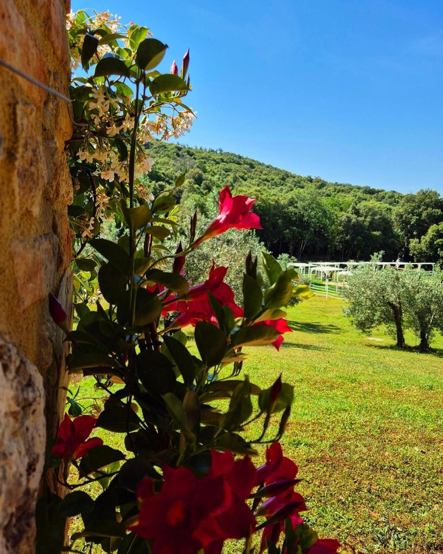 Tenuta Aronne *